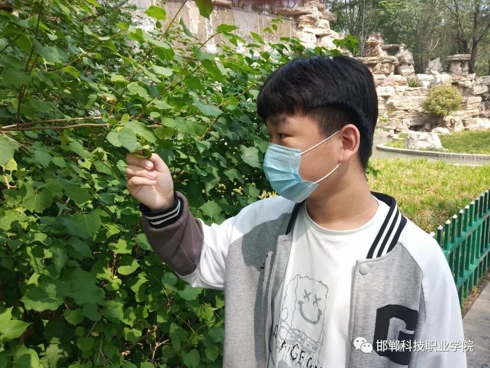 162270631328335101125621489697.jpg 微信圖片_20210603153336.jpg