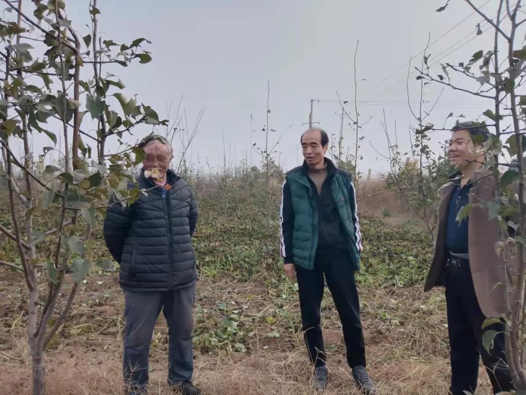 163590077886501581371104328651.jpg 微信圖片_20211103085006.jpg